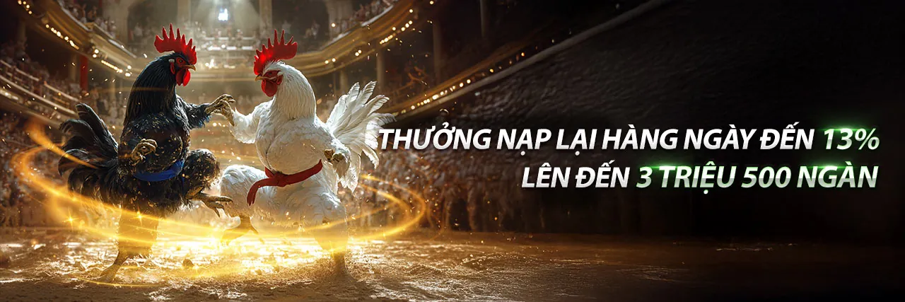 Sân đá gà trực tiếp sôi động